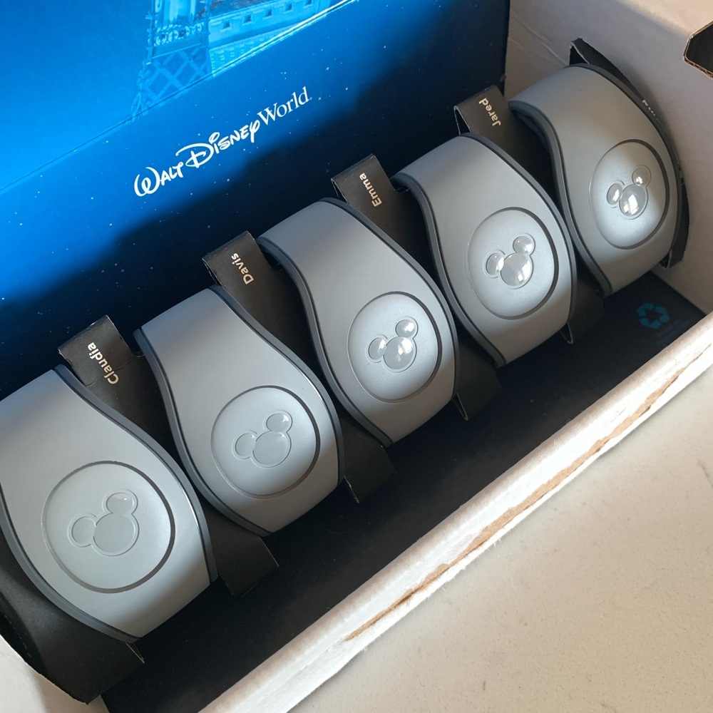 Disney MagicBands Grey